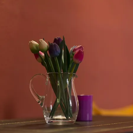 Casa Magnolia Apartment